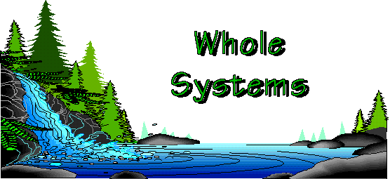 Whole Systems